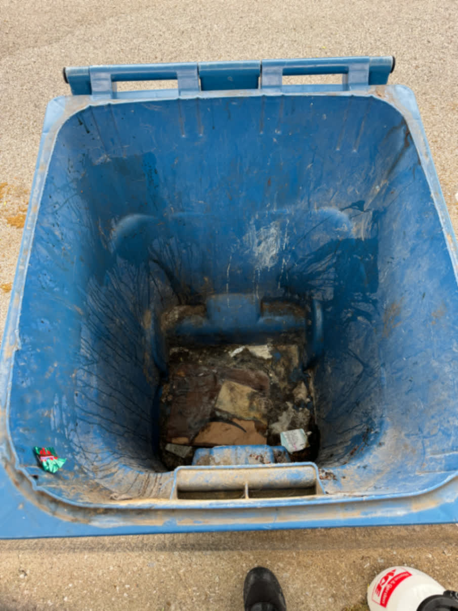 Bin Cleaning — before
